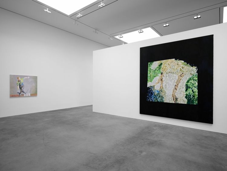 Installation view, The Fruit Basket, David Zwirner · 2026 (10)