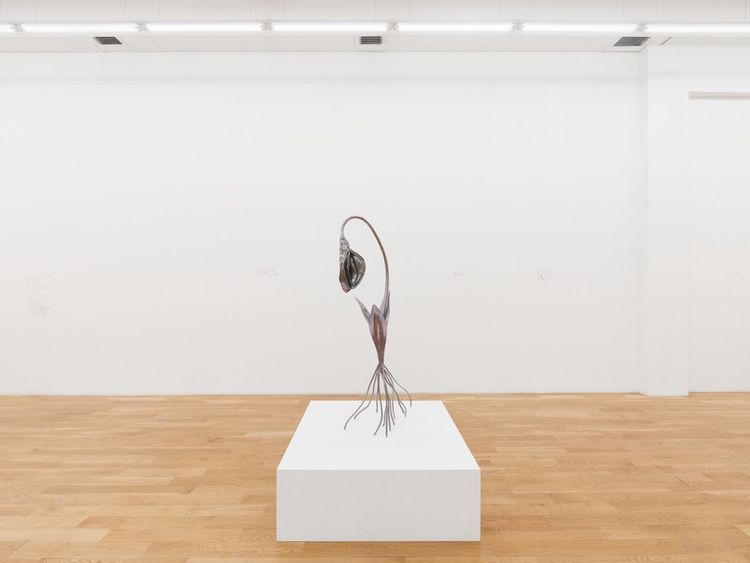 Installation view, Alien Spring, Nicodim · 2025 (13)