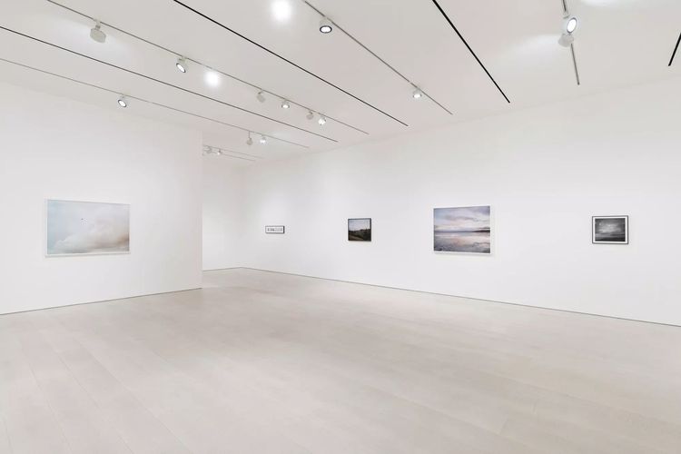 Installation view, Cardinals, Pace · 2025 (11)