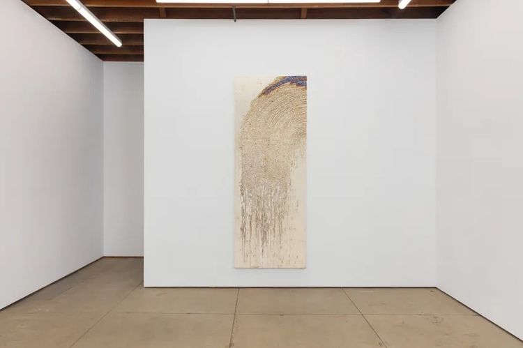 Installation view, Sleeves, Wilding Cran Gallery · 2026 (5)
