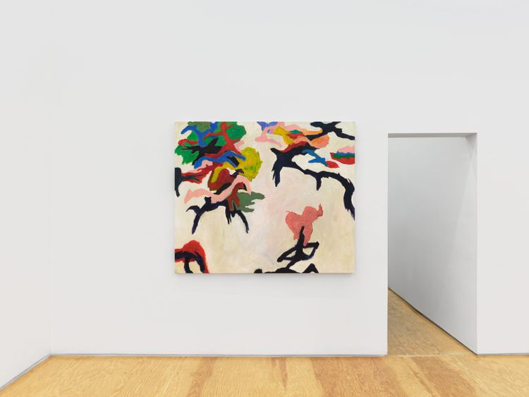 Installation view, Lost Canyon, Margot Samel · 2026 (4)
