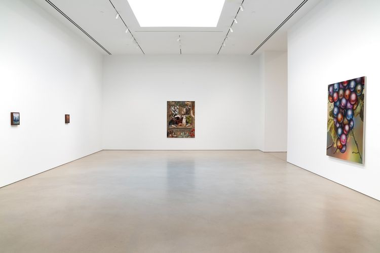 Installation view, Transit of Venus, Petzel Gallery · 2026 (5)