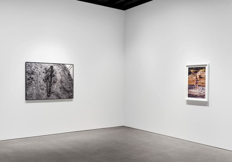 Installation view, Back to the Source, Marian Goodman, New York · 2025 (7)
