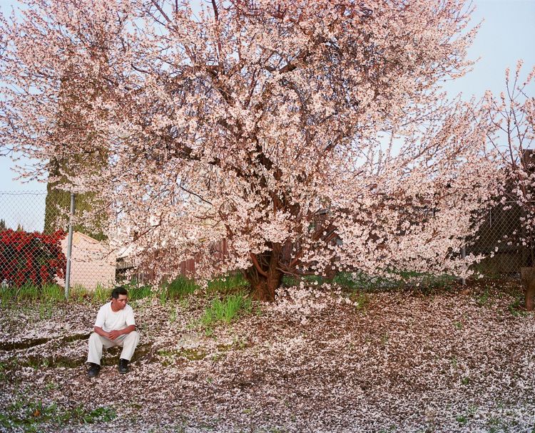 Installation view, Homeland, Yancey Richardson
