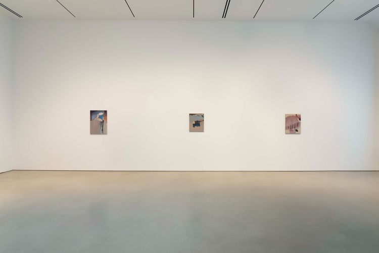 Installation view, Premonitions, Petzel Gallery · 2025 (6)