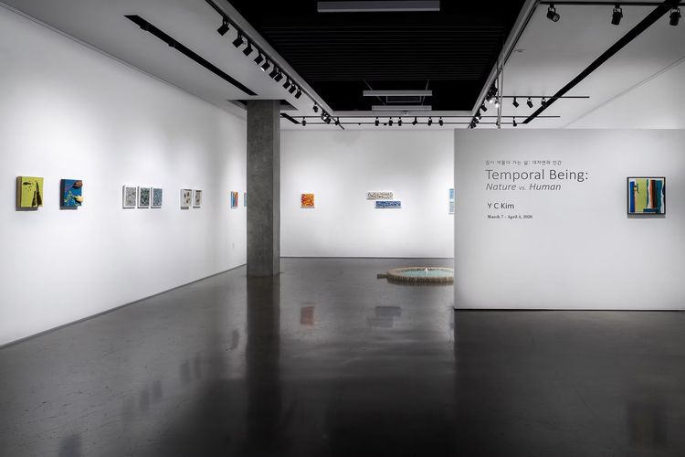 Installation view, Temporal Being: Nature vs. Human, Shatto Gallery · 2026 (4)