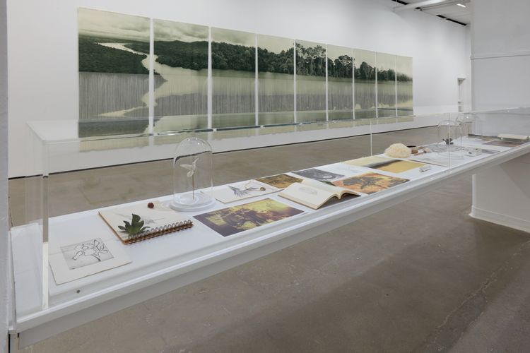 Installation view, RÍO, Sean Kelly · 2026 (11)