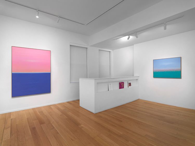 Installation view, Spirit Of Hope — Sueños Diurnos, Alexander Berggruen · 2026 (5)