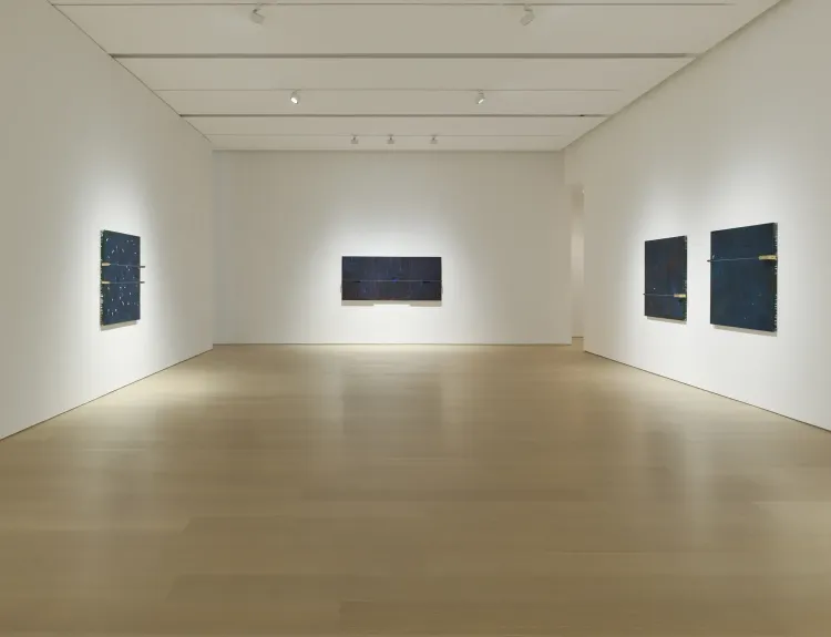 Installation view, Seeing in Blue, PACE · 2026 (3)