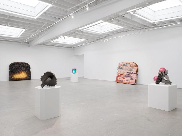 Installation view, Souvenir, Karma Gallery · 2025 (5)