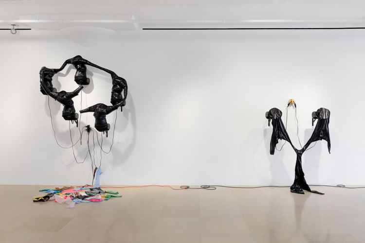 Installation view, Automa Mon Amour, Greene Naftali · 2026 (8)
