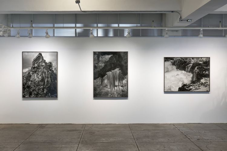 Installation view, Low Tide, Gallery Luisotti · 2026 (5)