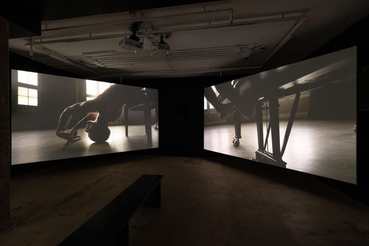 Installation view, Dweller, The Swiss Institute · 2026 (9)