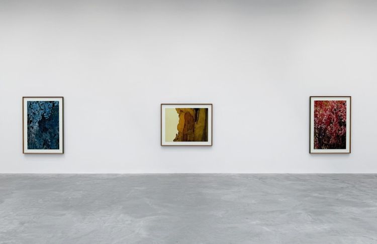 Installation view, Thomas Demand, Matthew Marks Gallery · 2026 (5)