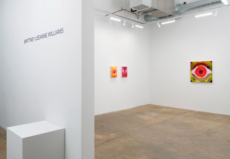 Installation view, Spotlight: Brittney Leeanne Williams, Vielmetter · 2026 (5)