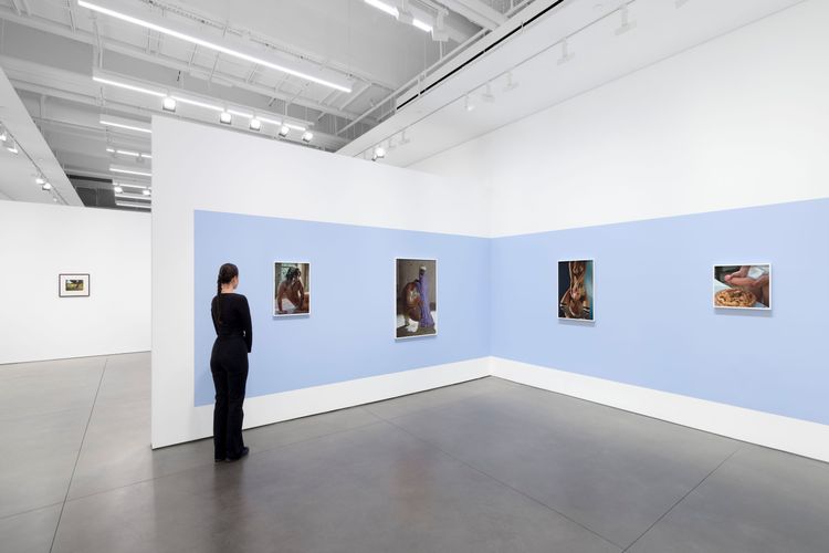 Installation view, Bones in the Canal and Other Photographs, David Kordansky Gallery, Chelsea · 2026 (19)