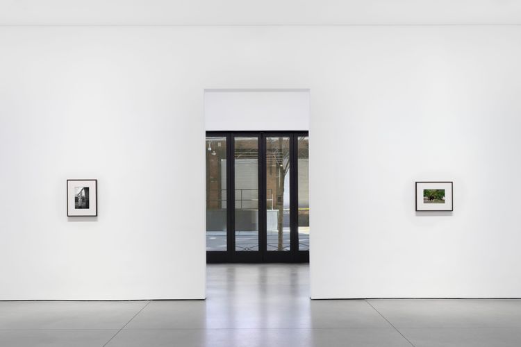 Installation view, Bones in the Canal and Other Photographs, David Kordansky Gallery, Chelsea · 2026 (9)