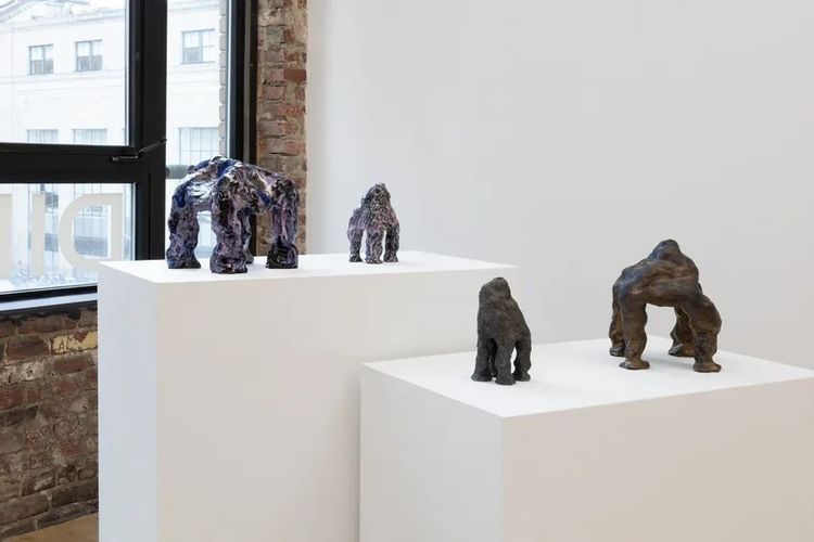 Installation view, Whims of Panspermia, DIMIN · 2026 (9)