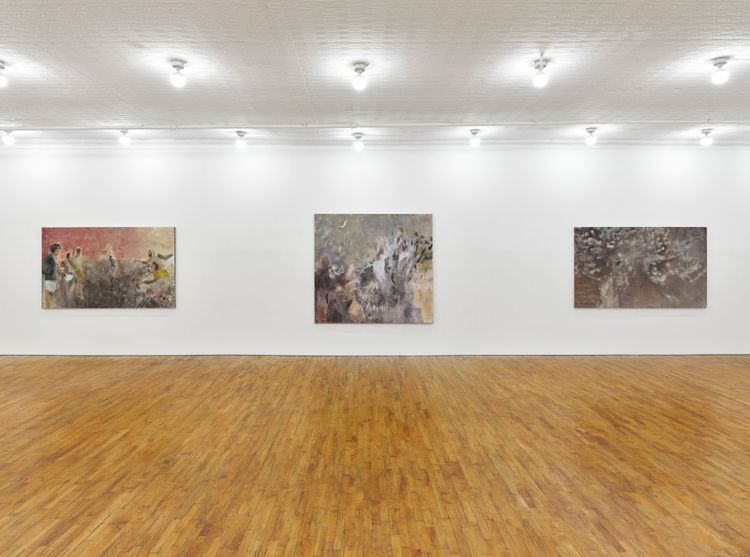 Installation view, Swallow the Ground, Tara Downs · 2026 (9)