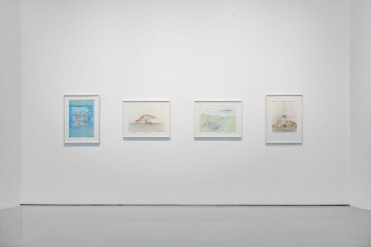 Installation view, Drawings and Photographs, Fergus McCaffrey · 2026 (2)