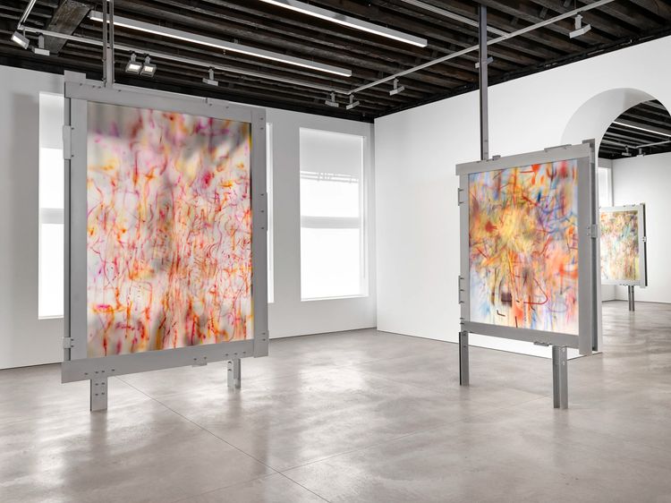 Installation view, Our Days, Like a Shadow (a non-abiding hauntology), Marian Goodman, New York · 2026 (1)