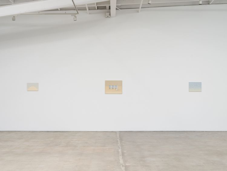 Installation view, Felipe Suzuki, Karma Gallery · 2026 (5)