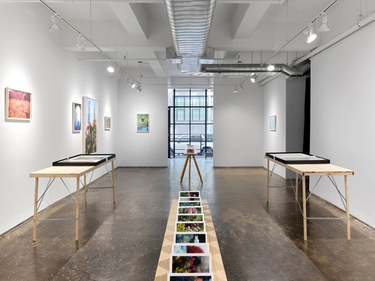 Installation view, Once Again I Fall Into My Feminine Ways, AIR · 2025 (6)