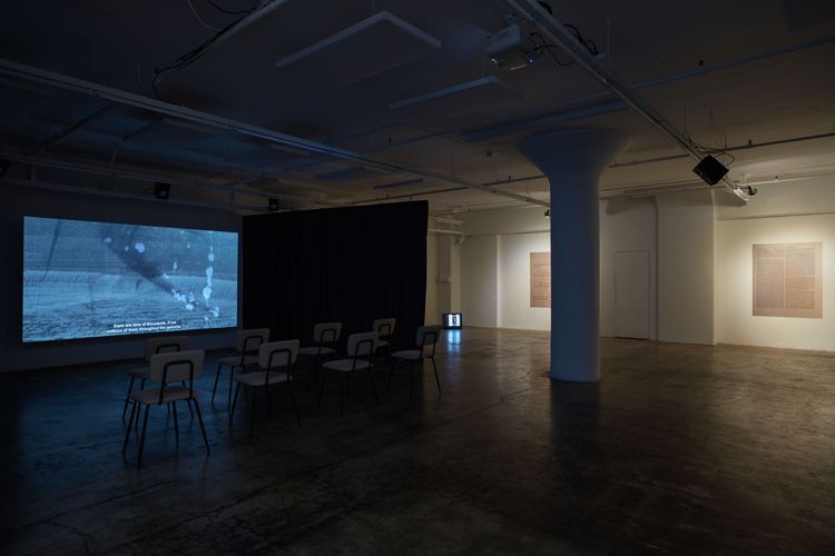 Installation view, The Goal of Our Health, Joan · 2025 (12)