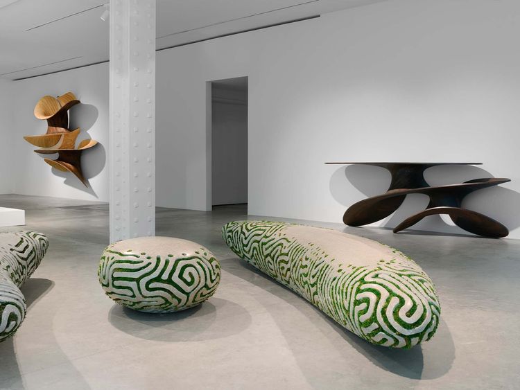 Installation view, SYMBIO, Friedman Benda · 2026 (4)
