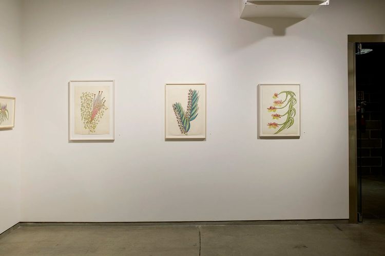 Installation view, Collaging the Visionary, Cavin Morris · 2026 (7)