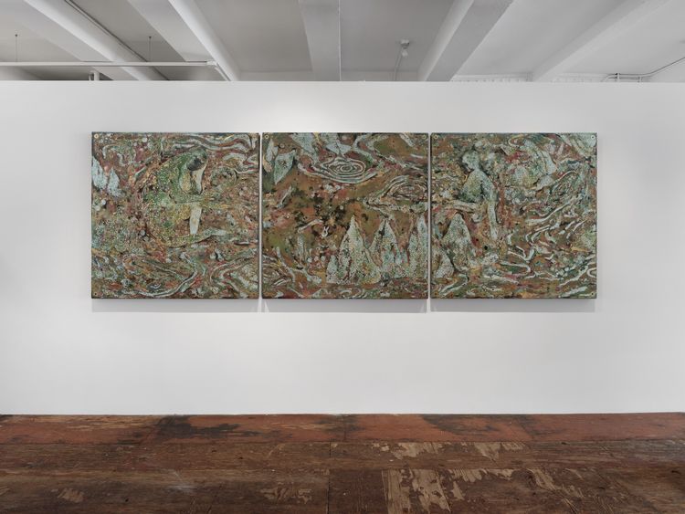 Installation view, Wake, mayfly…     , Kiang Malingue · 2026 (24)