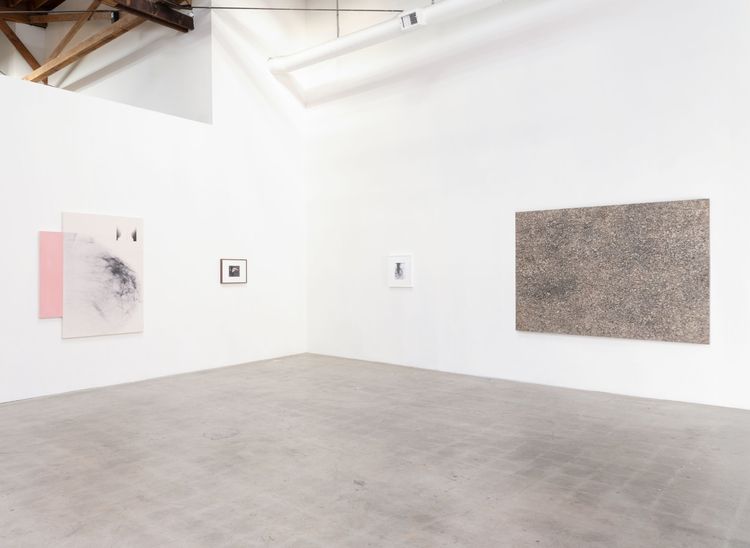 Installation view, x-ray island, Moskowitz Bayse · 2026 (5)