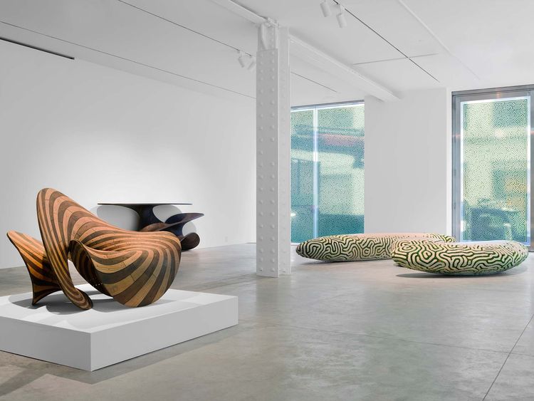 Installation view, SYMBIO, Friedman Benda · 2026 (5)