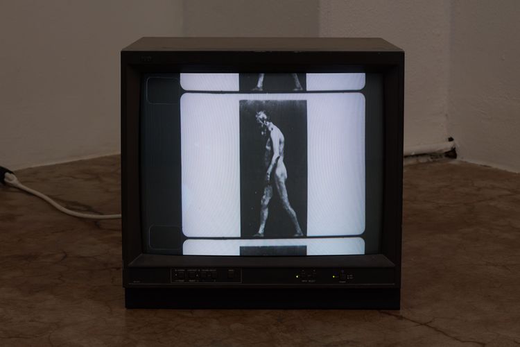 Installation view, The Goal of Our Health, Joan · 2025 (13)