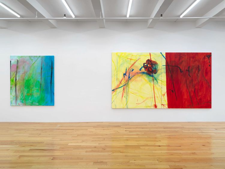 Installation view, Ringing, Paul Soto · 2025 (8)