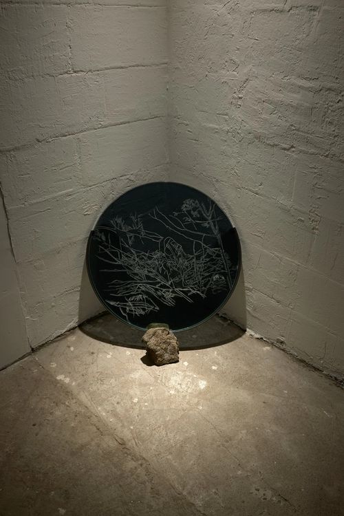 Installation view, Oh, it’s my ass and my anus, Parent Company · 2025 (15)