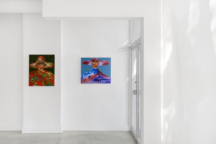 Installation view, Landscapes, David Castillo · 2025 (1)