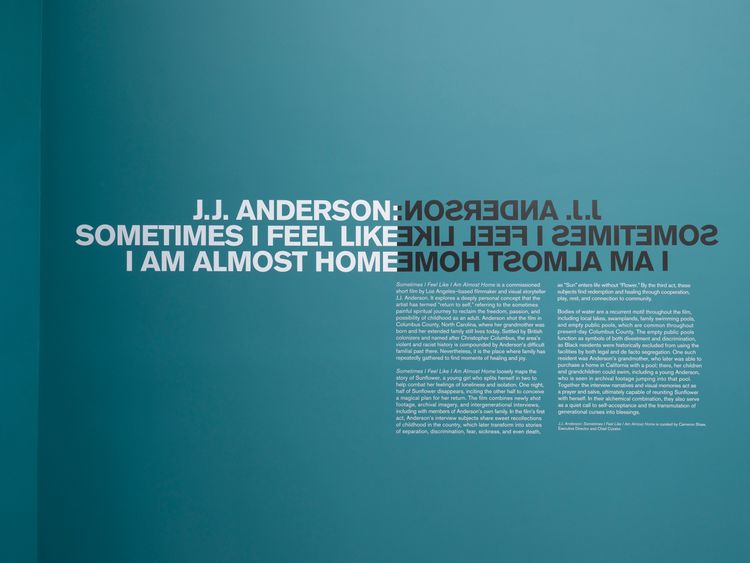 Installation view, Sometimes I Feel Like I Am Almost Home, California African American Museum · 2025 (5)