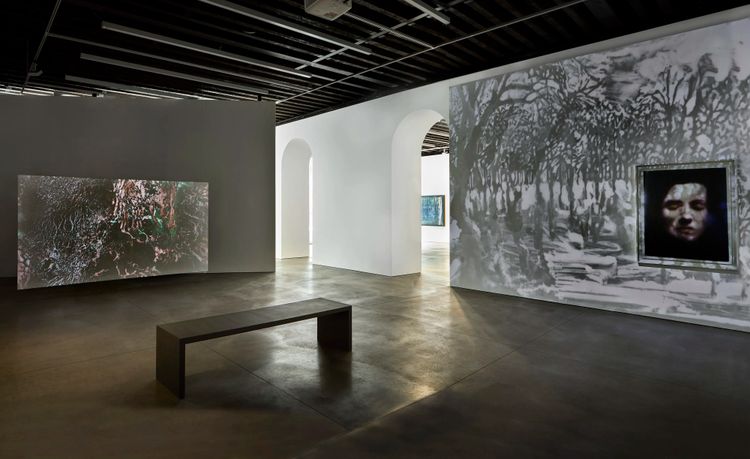 Installation view, On an Overgrown Path, Marian Goodman, New York · 2026 (1)