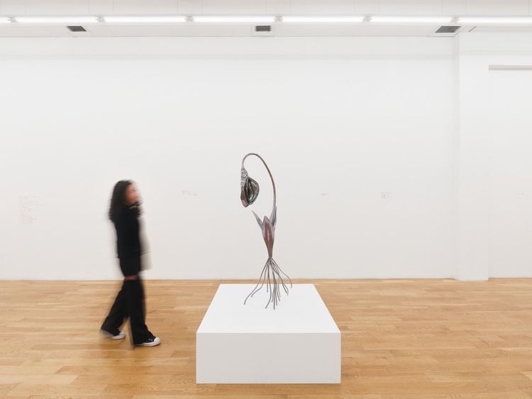 Installation view, Alien Spring, Nicodim · 2025 (14)