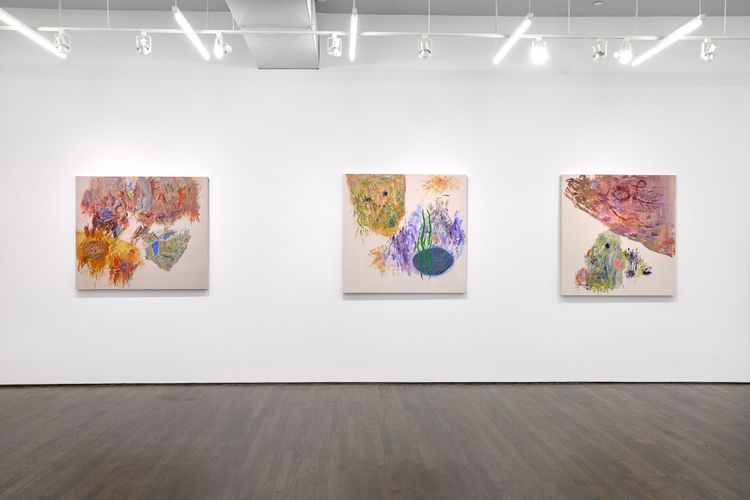 Installation view, Goran Medak, White Columns · 2026 (4)