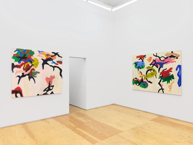 Installation view, Lost Canyon, Margot Samel · 2026 (1)