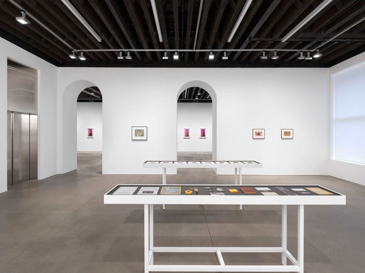 Installation view, Back to the Source, Marian Goodman, New York · 2025 (6)