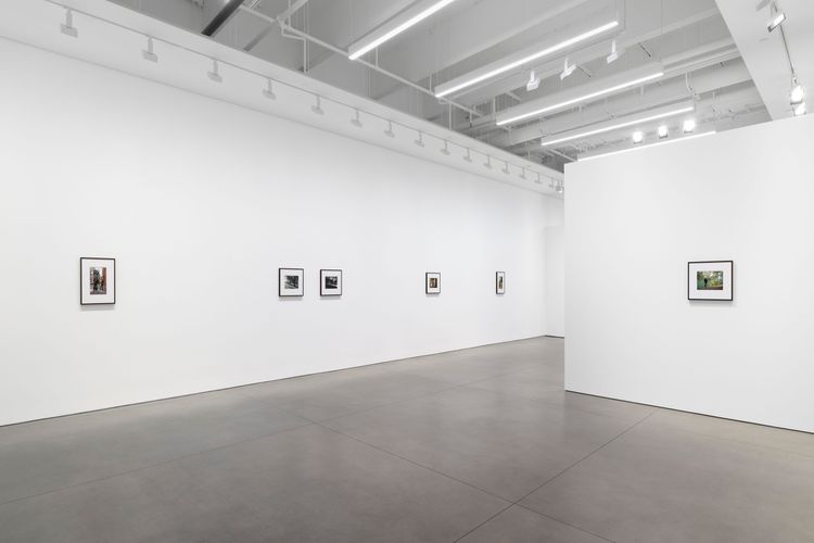 Installation view, Bones in the Canal and Other Photographs, David Kordansky Gallery, Chelsea · 2026 (8)