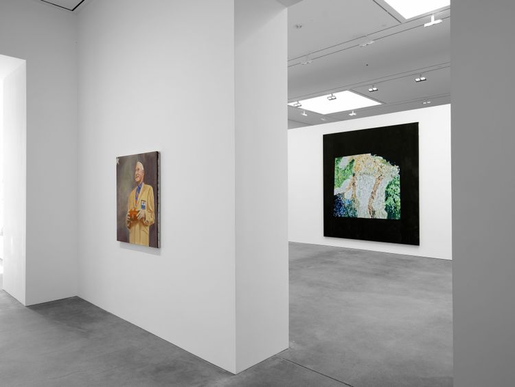 Installation view, The Fruit Basket, David Zwirner · 2026 (4)