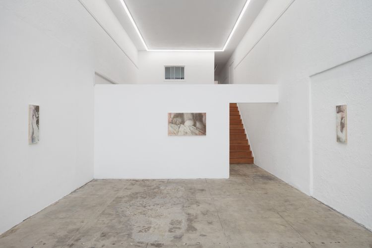 Installation view, Reading in Bed, Ehrlich Steinberg · 2025 (8)