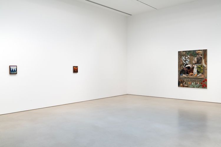 Installation view, Transit of Venus, Petzel Gallery · 2026 (2)