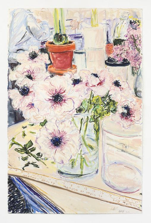 Installation view, Not So Still (1984-2026), Kaufmann Repetto