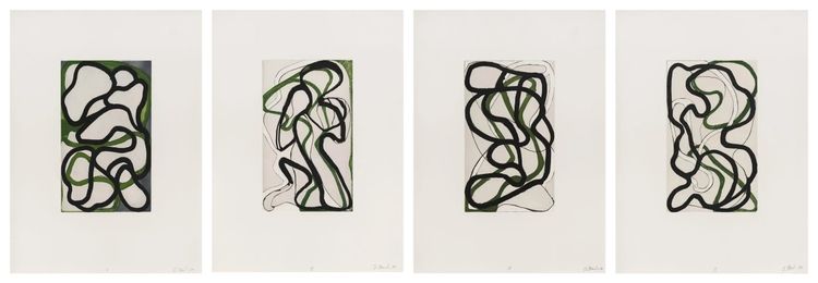 Installation view, Brice Marden: From Line to Plane, Susan Sheehan Gallery