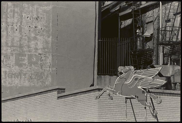 Installation view, Pictures from the Real World, Museum of the City of New York